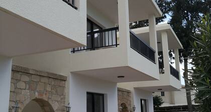 Seashell Home Apartment Big-1Bdr-In Great Location