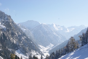 View from room - Bauerndörfl Rindereben (Huettschlag)