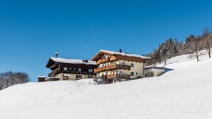 Exterior - Ganzenhubhof (Goldegg)