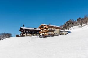 Exterior - Ganzenhubhof (Goldegg)
