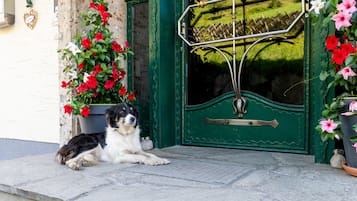 Pet-friendly