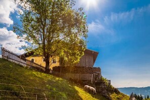 Exterior - Ferienbauernhof Elmaugut (Muehlbach Am Hochkoenig)