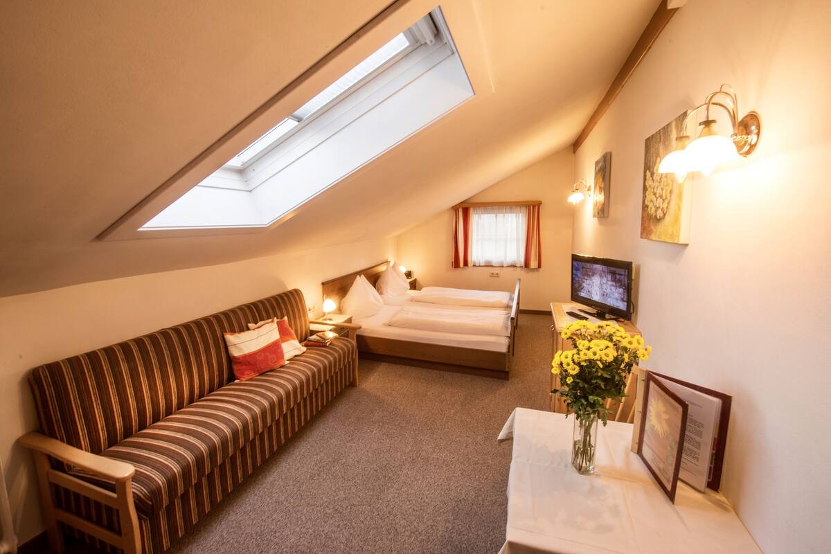 A small, cozy room with a bed, a sofa, a TV, and a skylight.