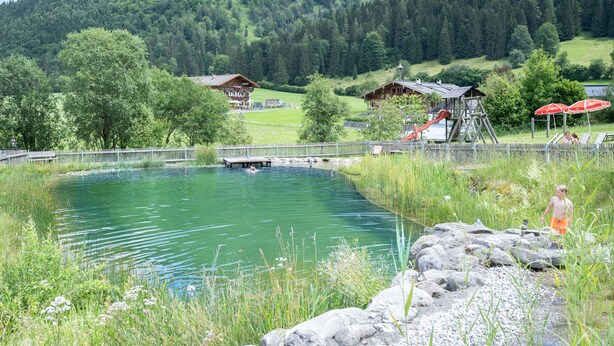 A serene outdoor pool area with a wooden deck, surrounded by lush greenery and a mountain backdrop. - Feriengut Unterhochstätt (Schwendt)