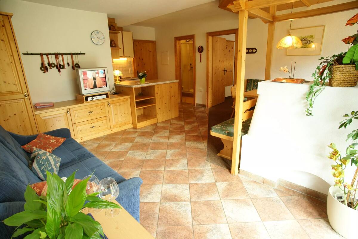 Apartment, 1 Bedroom, Terrace | Living area