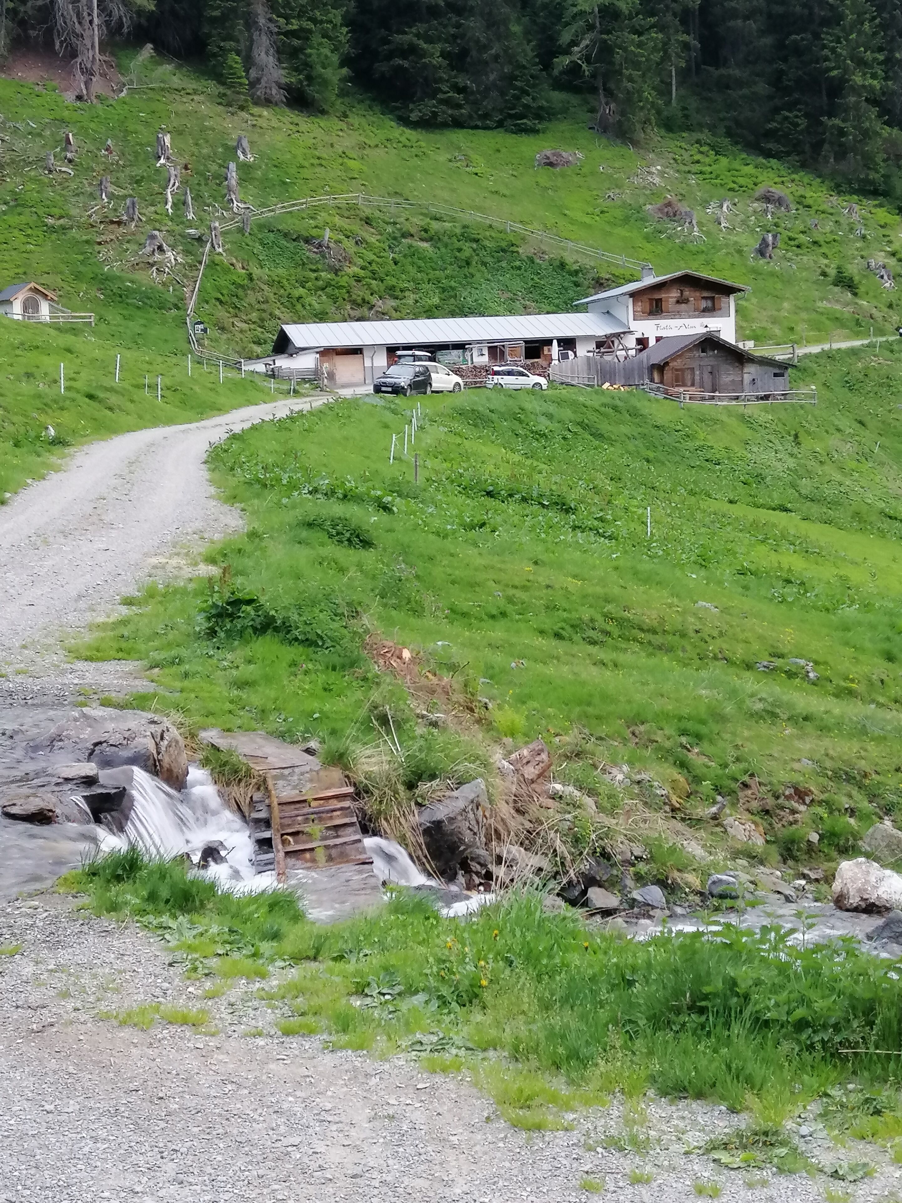 A rural property with a gravel driveway leading to a wooden building with a metal roof.