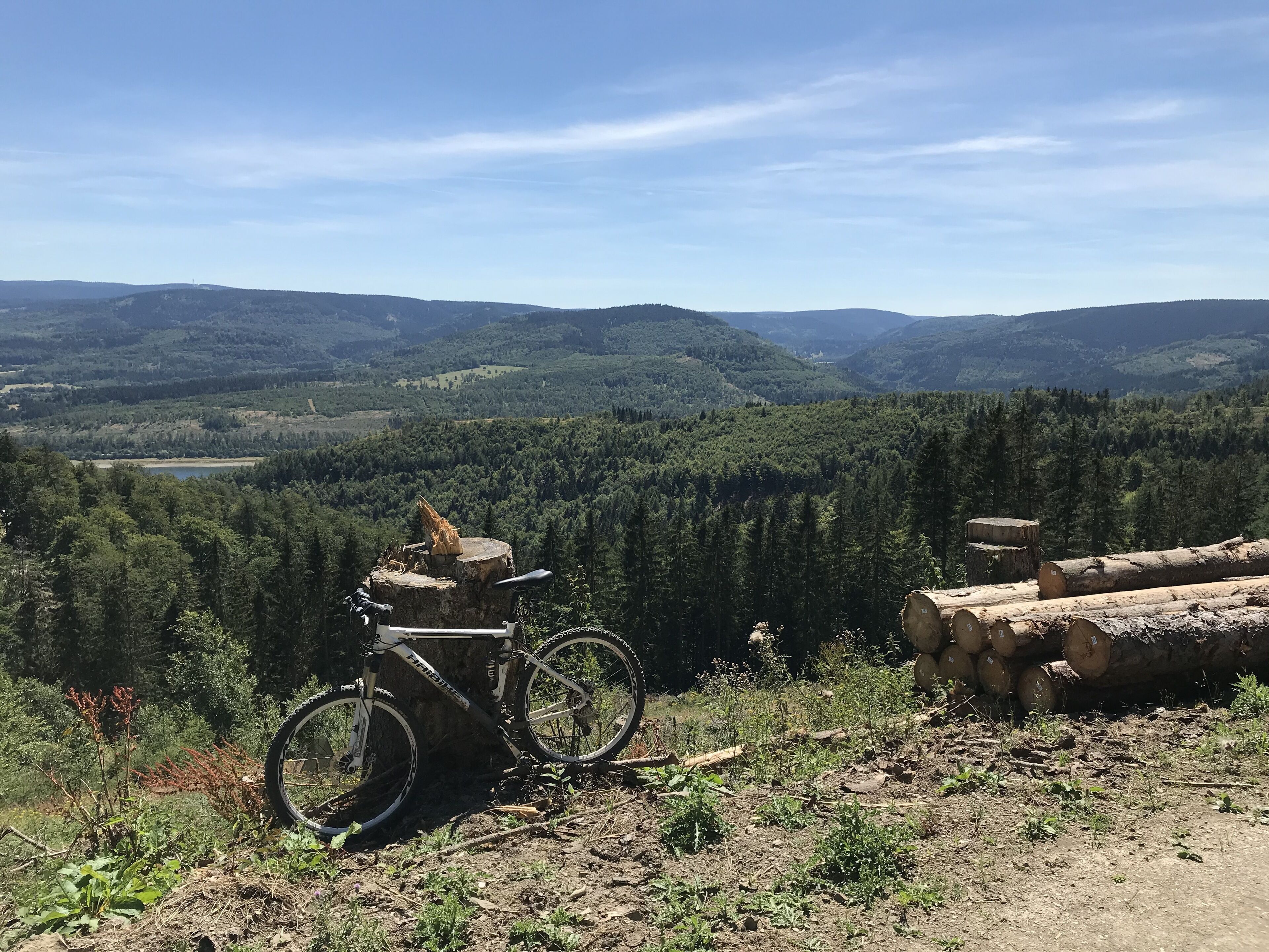 Ein Mountainbike steht auf einem Feldweg, im Hintergrund ein Wald und Hügel.
