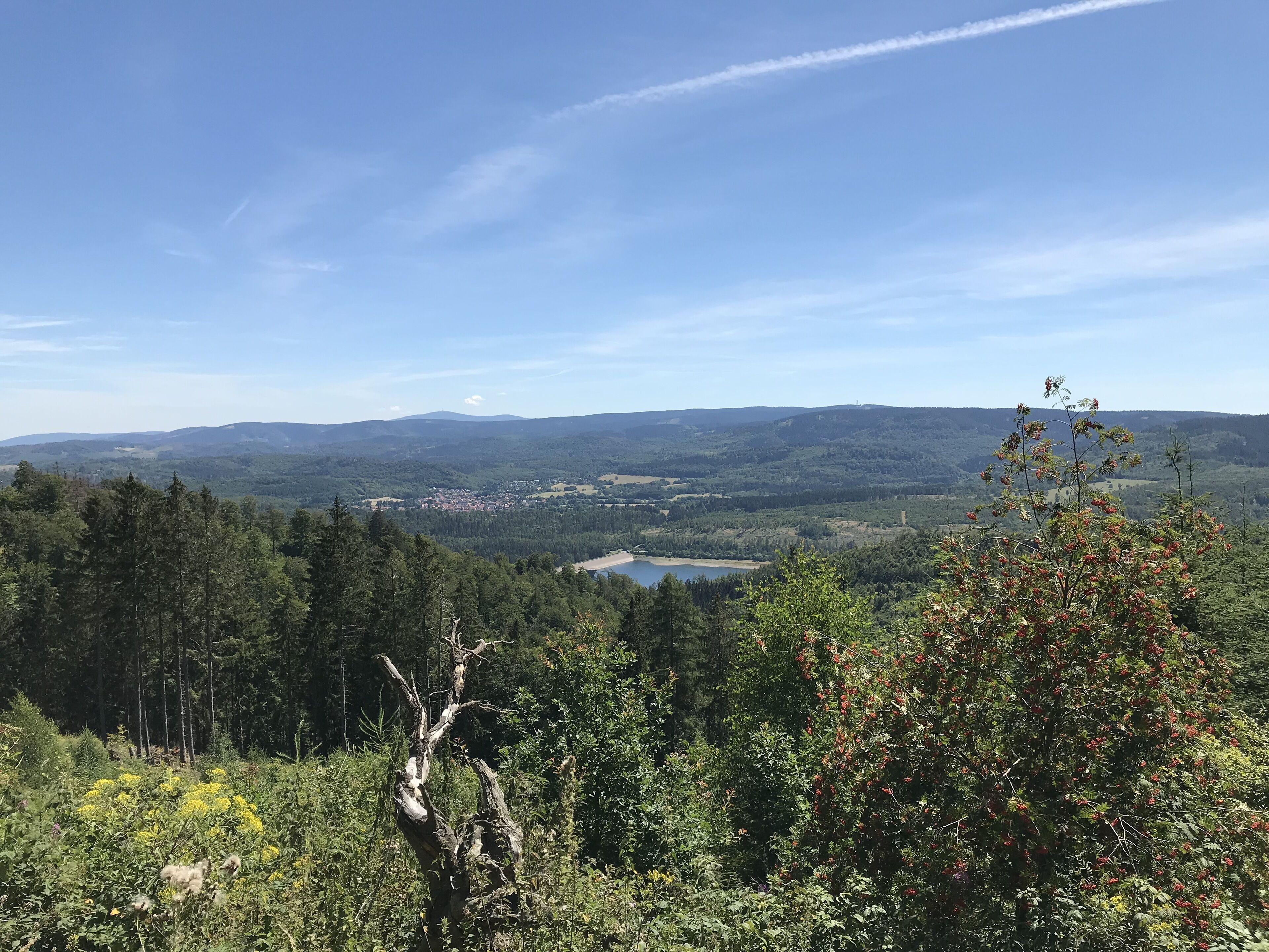 Un paisaje montañoso con un lago, zona boscosa y cielo despejado.