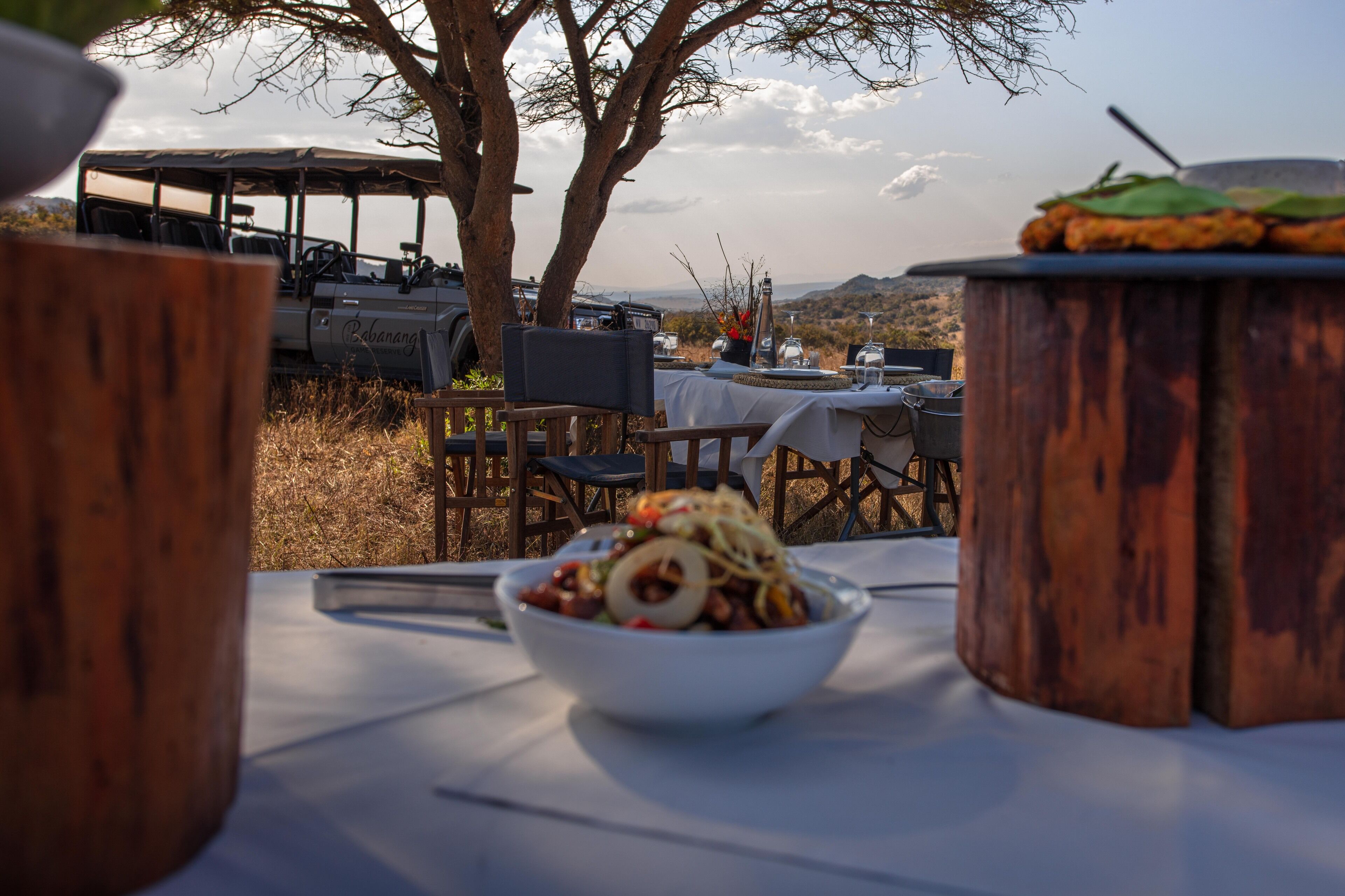 A dining table with a bowl of food, a vehicle, and a tree in the background.