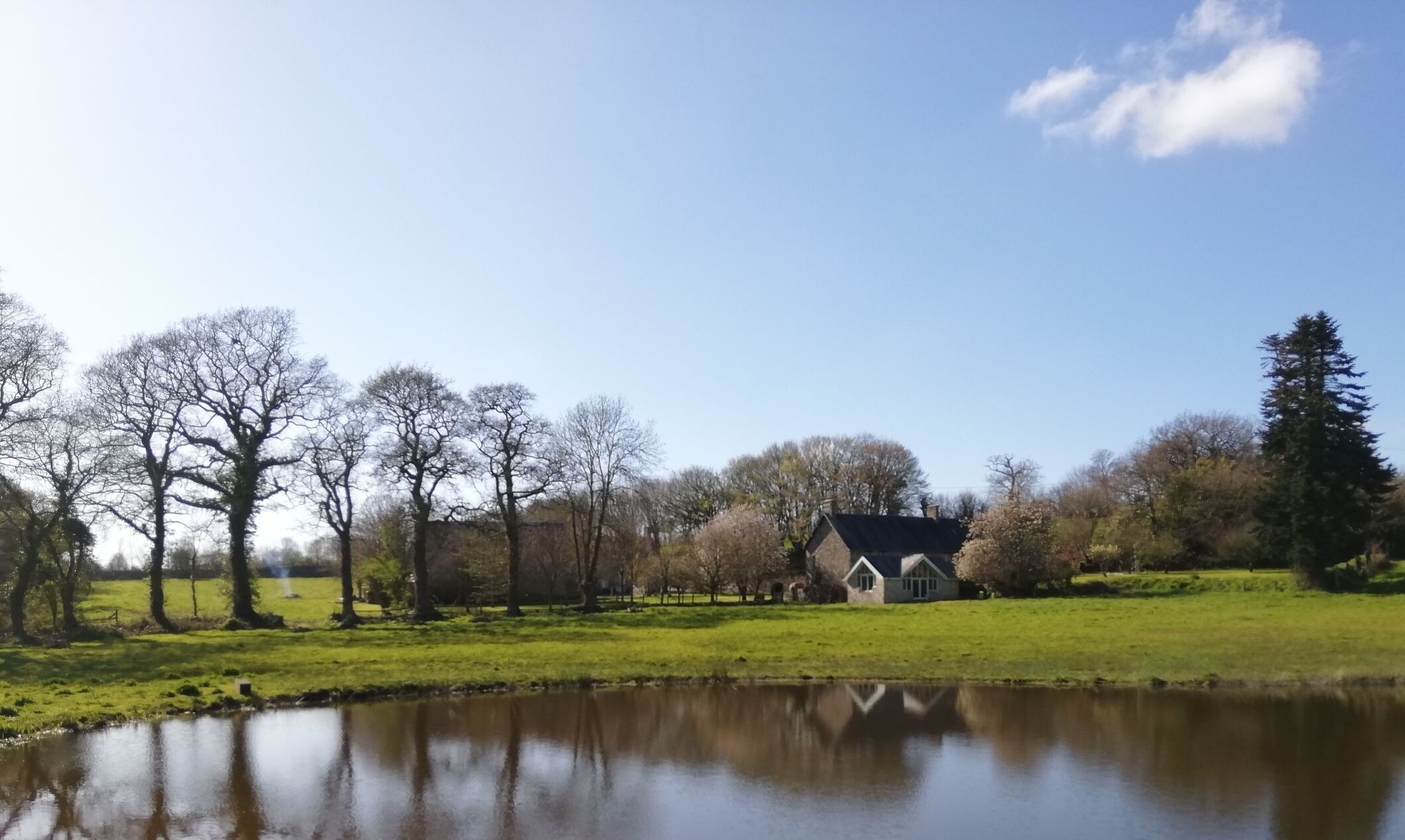 Una casa junto a un estanque, rodeada de árboles y con cielo despejado.