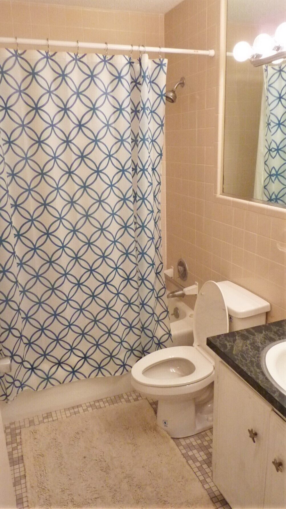 A bathroom with a patterned shower curtain, a toilet, a sink, and a mirror with lights.