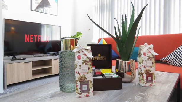 Een moderne woonkamer met een flatscreen televisie waarop 'NETFLIX' staat, een glazen vaas, een geurdoosje van 'PEONY' en een plant in pot.