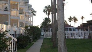 A residential area with a pathway, white fences, and palm trees.