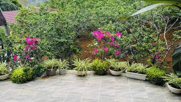Un espace jardin agrémenté de plantes en pot et d’une structure à toit de chaume.