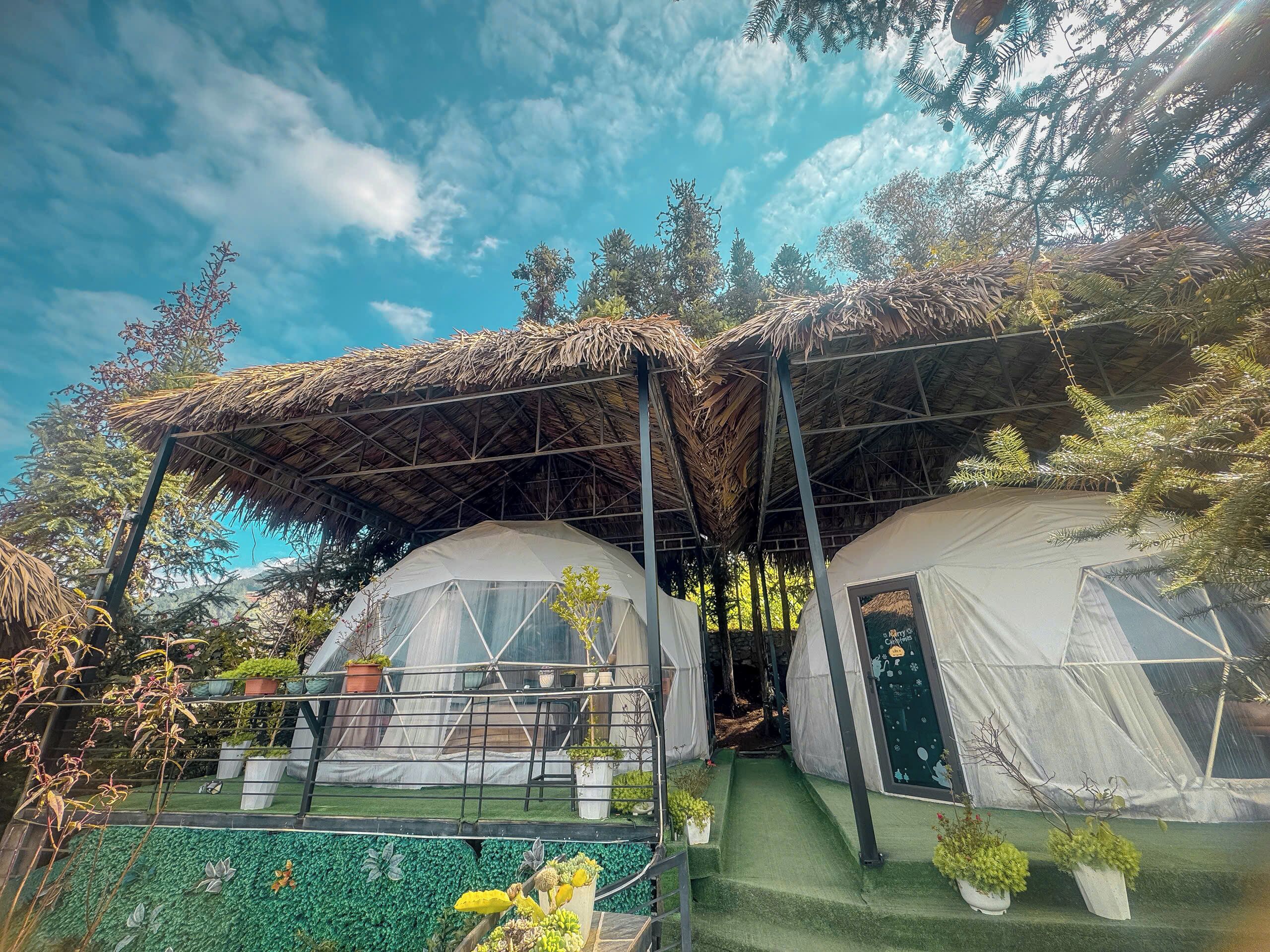 Two dome-shaped tents with thatched roofs, surrounded by lush greenery and a clear blue sky.