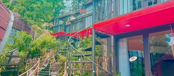 Plum Homestay - Hostel