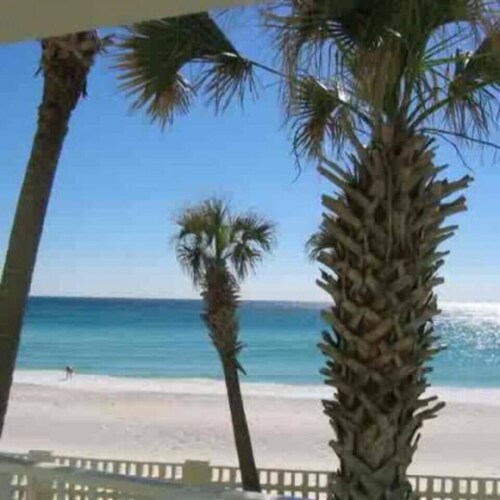 Pet friendly on the beach in uncrowded building