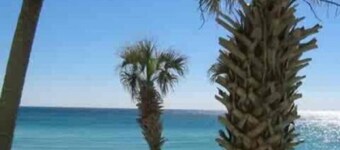 Pet friendly on the beach in uncrowded building