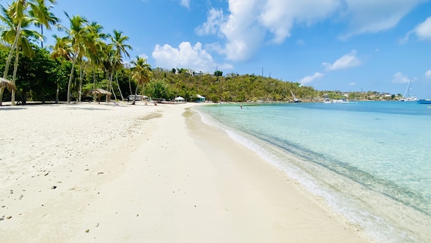 A beach with clear turquoise water, palm trees, and a few buildings in the background. - Water Island Cottage with a View  (St Thomas)