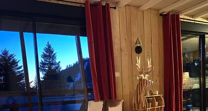 Chalet Ă 50 m des pistes