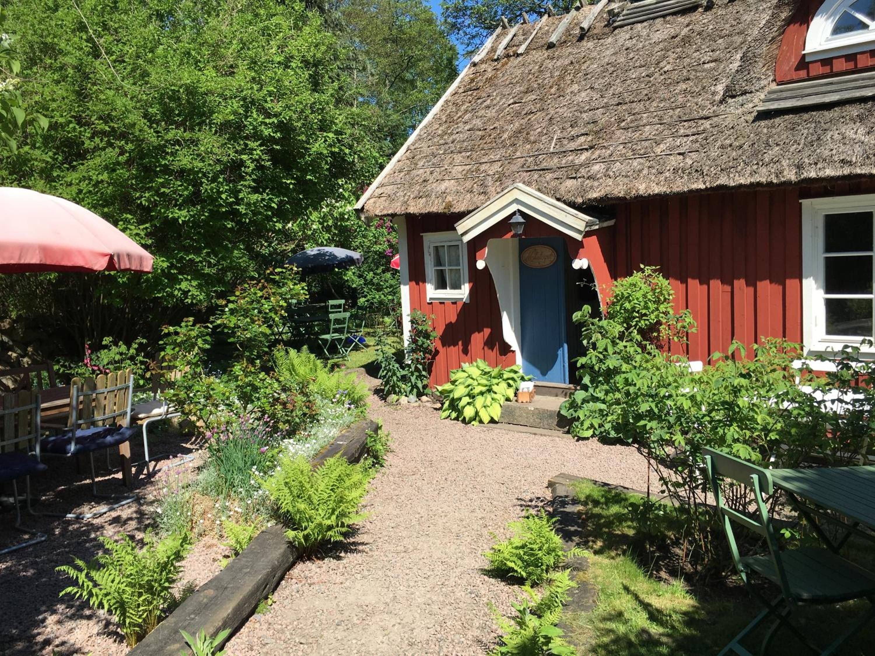 Ett rött trähus med ett halmtak, en grusgång som leder till entrén och en liten trädgård med olika växter och en bänk.