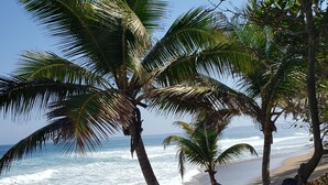 A beach with palm trees and a person sitting on the sand. - ***CASA PALMA*** Tropical Caribbean Beach House (Rincon)