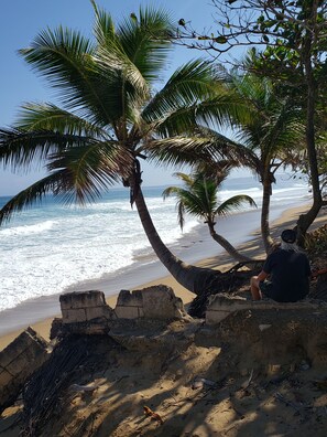 Plage, chaises longues, serviettes de plage