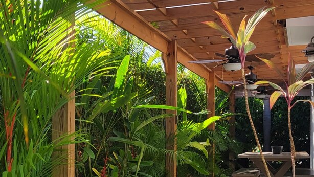 A covered outdoor area with a wooden pergola, a table, and various tropical plants. - ***CASA PALMA*** Tropical Caribbean Beach House (Rincon)