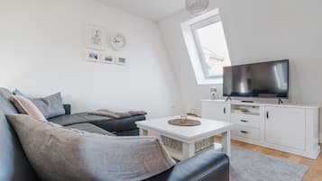 Smart TV, fireplace, books