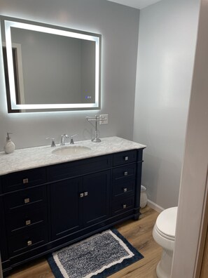 A modern bathroom with a large mirror, a white sink, dark cabinets, and a blue rug. - 5 bedroom 3- bath 8 people capacity pontoon included in Winter Wis. (Winter)