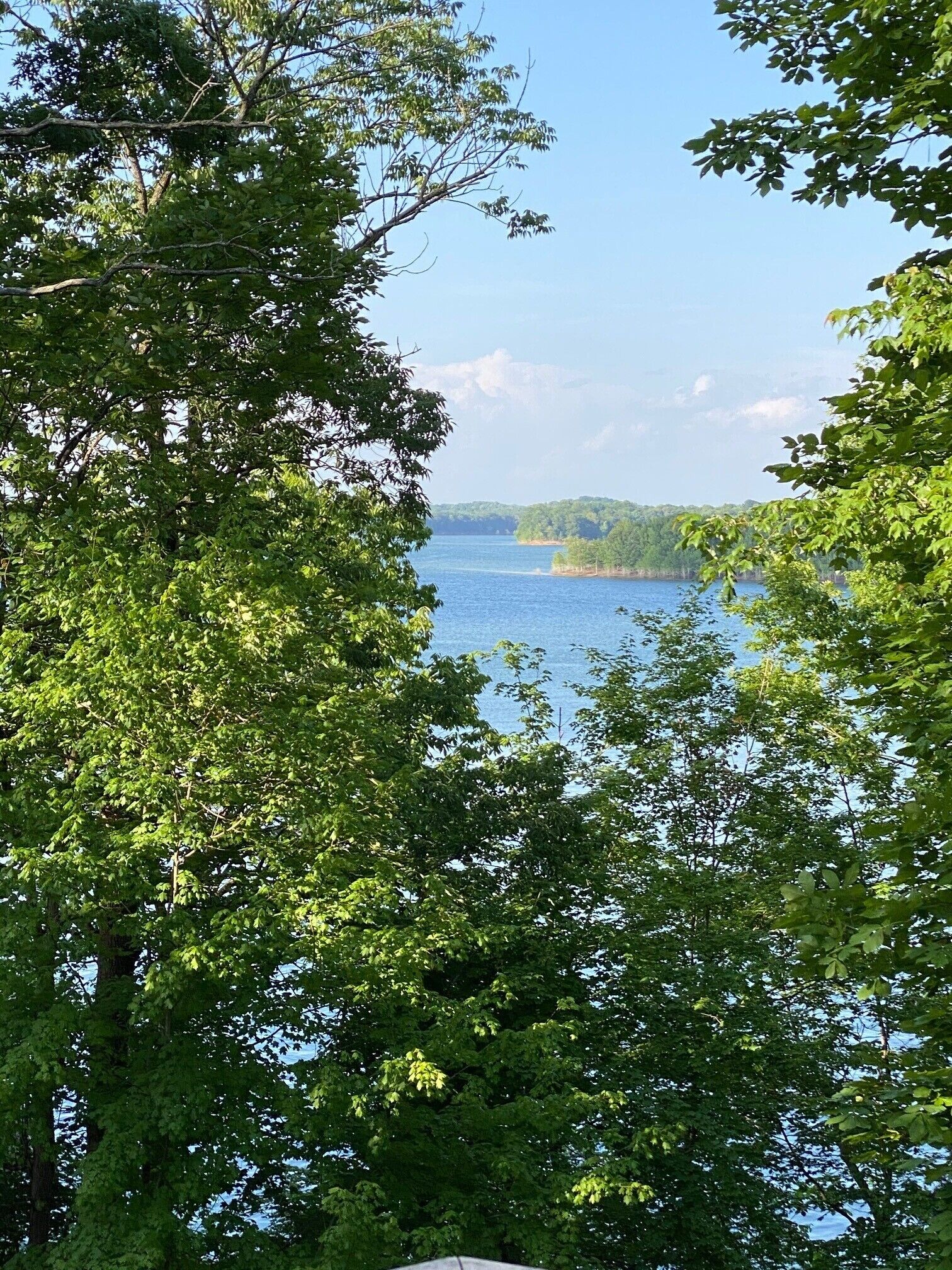 Family Vaca walk path to Barren River Lake. Kayak\/Canoes\/dock