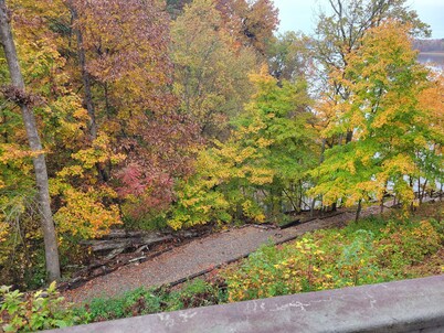 Family Vaca walk path to Barren River Lake. Kayak/Canoes/dock