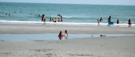 在海灘附近、躺椅