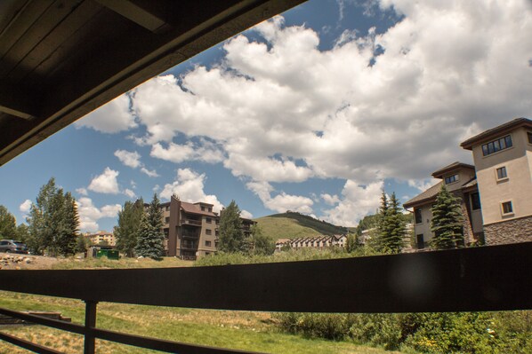 A view of a building complex with multiple floors, surrounded by trees and a grassy area.