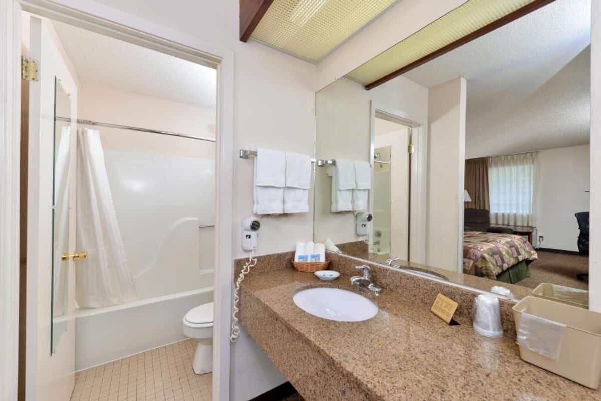 Basic Room | Bathroom