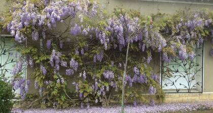 Charmante maison en bord de riviĂšre