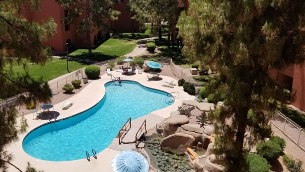 A swimming pool with lounge chairs and umbrellas, surrounded by trees and a building in the background. - Cozy 1 bedroom/1 Bathroom with large living room & kitchen. (Phoenix)