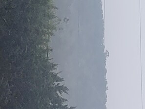 Unclassified image, 4 of 6, button