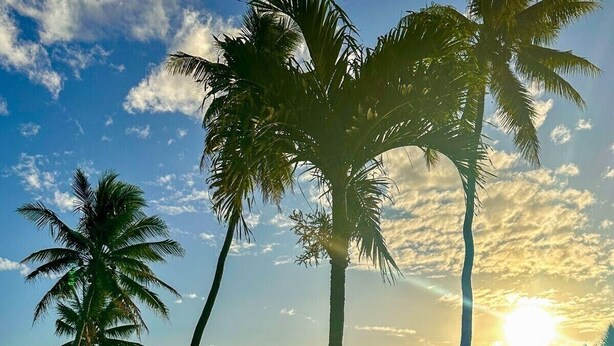 Vista despejada de una piscina con palmeras y un atardecer de fondo.