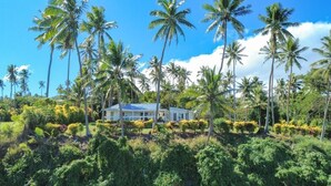 Una casa rodeada de altas palmeras y abundante vegetación.