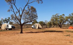 أغطية فراش متميزة وملاءات أسرّة