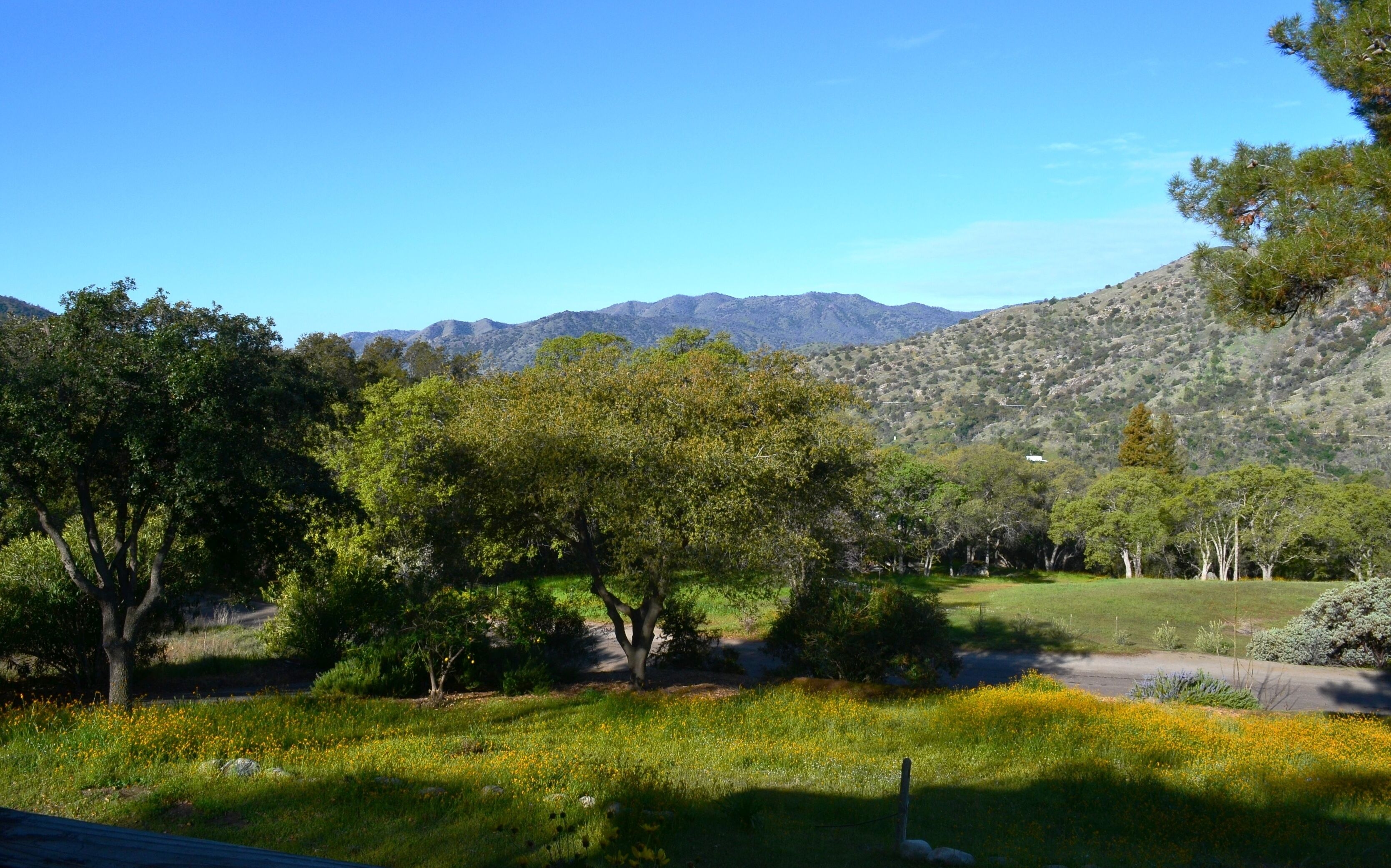 Paisaje natural con árboles, un campo cubierto de hierba y montañas al fondo.