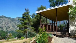 A house with a covered porch, surrounded by a garden with various plants and a gravel path.