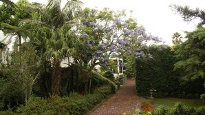 Un sentier de jardin bordé d’une végétation luxuriante et de fleurs violettes.