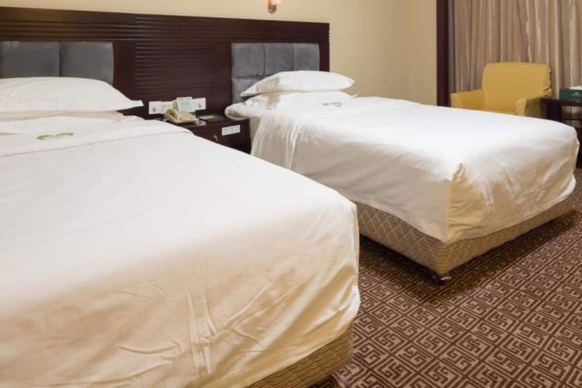Standard Twin Room | Minibar, desk, free WiFi