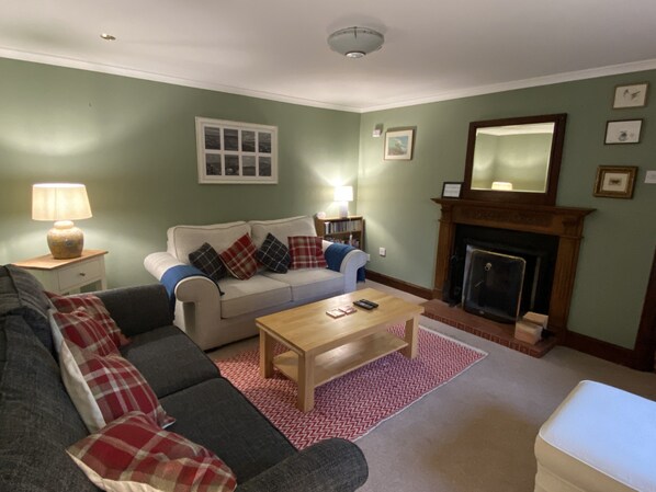 Televisión, chimenea, reproductor de DVD y libros