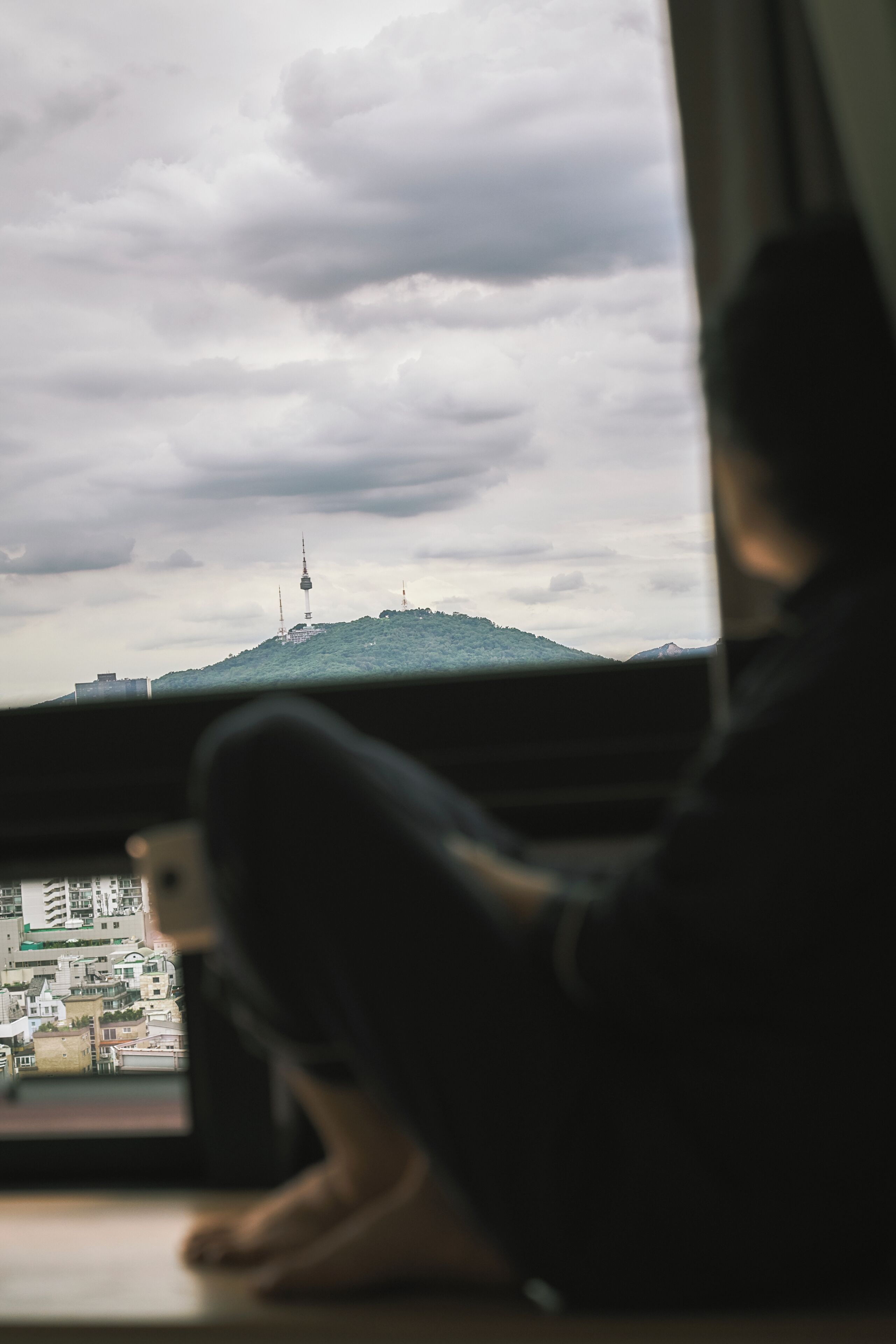Una persona sentada junto a una ventana con vista a un paisaje urbano y una torre destacada.
