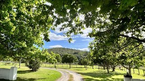 Ein Kiesweg führt durch einen Park mit Bäumen und einer Erhebung im Hintergrund.
