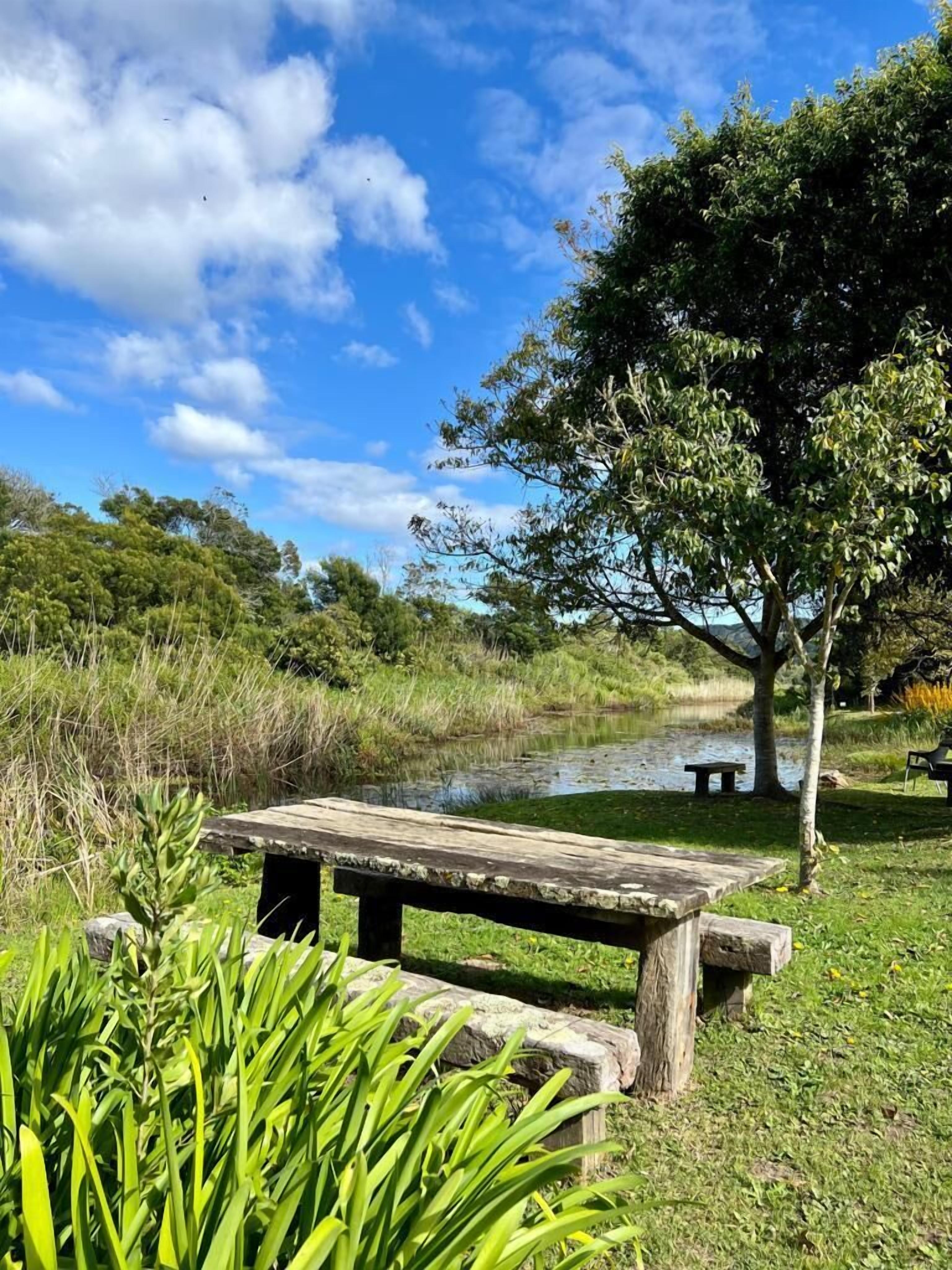 A wooden picnic table in a park with a pond, surrounded by greenery and trees.
