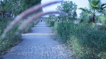 A pathway flanked by lush greenery and palm trees, leading to a distant figure.